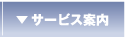 �T�[�r�X�ē���